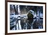 Stream Course in the Winter Wood, Triebtal, Vogtland, Saxony, Germany-Falk Hermann-Framed Photographic Print