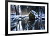 Stream Course in the Winter Wood, Triebtal, Vogtland, Saxony, Germany-Falk Hermann-Framed Photographic Print