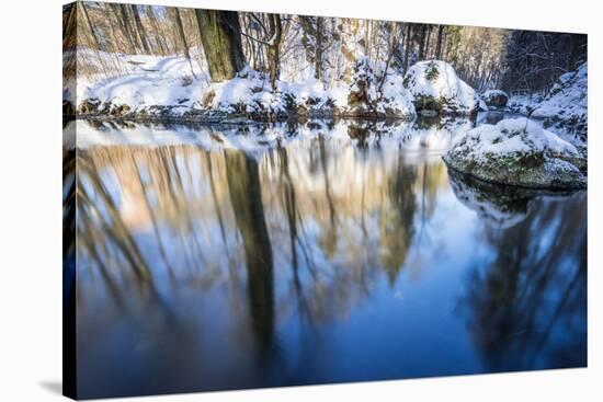 Stream Course in the Winter Wood, Triebtal, Vogtland, Saxony, Germany-Falk Hermann-Stretched Canvas