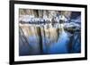 Stream Course in the Winter Wood, Triebtal, Vogtland, Saxony, Germany-Falk Hermann-Framed Photographic Print