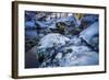 Stream Course in the Winter Wood, Triebtal, Vogtland, Saxony, Germany-Falk Hermann-Framed Photographic Print