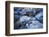 Stream Course in the Winter Wood, Triebtal, Vogtland, Saxony, Germany-Falk Hermann-Framed Photographic Print