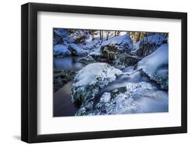 Stream Course in the Winter Wood, Triebtal, Vogtland, Saxony, Germany-Falk Hermann-Framed Photographic Print