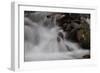 Stream Falls I-Logan Thomas-Framed Photographic Print