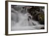 Stream Falls I-Logan Thomas-Framed Photographic Print