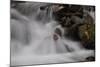 Stream Falls I-Logan Thomas-Mounted Photographic Print