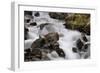 Stream Falls II-Logan Thomas-Framed Photographic Print