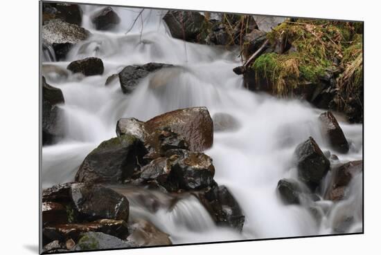 Stream Falls II-Logan Thomas-Mounted Photographic Print