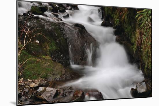 Stream Falls III-Logan Thomas-Mounted Photographic Print