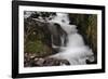 Stream Falls III-Logan Thomas-Framed Photographic Print