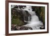 Stream Falls III-Logan Thomas-Framed Photographic Print