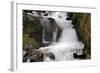 Stream Falls IV-Logan Thomas-Framed Photographic Print