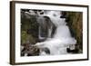 Stream Falls IV-Logan Thomas-Framed Photographic Print