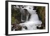 Stream Falls IV-Logan Thomas-Framed Photographic Print