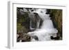 Stream Falls IV-Logan Thomas-Framed Photographic Print