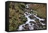 Stream Falls VI-Logan Thomas-Framed Stretched Canvas