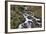 Stream Falls VI-Logan Thomas-Framed Photographic Print