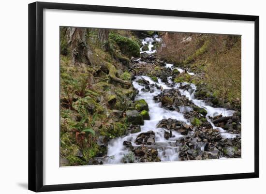 Stream Falls VI-Logan Thomas-Framed Photographic Print