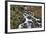 Stream Falls VI-Logan Thomas-Framed Photographic Print