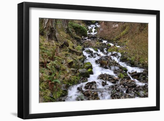Stream Falls VI-Logan Thomas-Framed Photographic Print