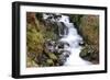 Stream Falls VII-Logan Thomas-Framed Photographic Print