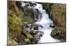 Stream Falls VII-Logan Thomas-Mounted Photographic Print