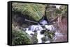 Stream Falls VIII-Logan Thomas-Framed Stretched Canvas