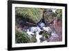 Stream Falls VIII-Logan Thomas-Framed Photographic Print