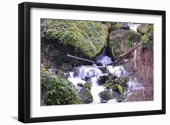 Stream Falls VIII-Logan Thomas-Framed Photographic Print