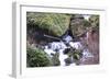 Stream Falls VIII-Logan Thomas-Framed Photographic Print