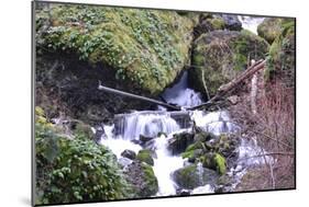 Stream Falls VIII-Logan Thomas-Mounted Photographic Print