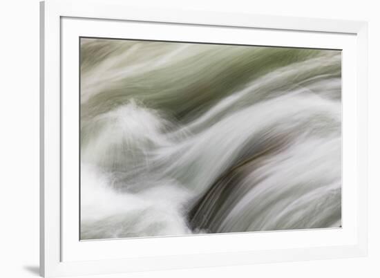 Stream flowing around rocks, Little Pigeon River, Greenbrier, Great Smoky Mountains National Park, -Adam Jones-Framed Photographic Print