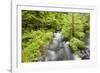 Stream Flowing Between Obersee And Konigssee. Berchtesgaden National Park. Upper Bavaria. Germany-Oscar Dominguez-Framed Photographic Print