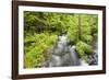 Stream Flowing Between Obersee And Konigssee. Berchtesgaden National Park. Upper Bavaria. Germany-Oscar Dominguez-Framed Photographic Print