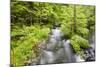 Stream Flowing Between Obersee And Konigssee. Berchtesgaden National Park. Upper Bavaria. Germany-Oscar Dominguez-Mounted Photographic Print