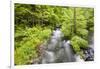 Stream Flowing Between Obersee And Konigssee. Berchtesgaden National Park. Upper Bavaria. Germany-Oscar Dominguez-Framed Photographic Print