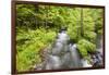 Stream Flowing Between Obersee And Konigssee. Berchtesgaden National Park. Upper Bavaria. Germany-Oscar Dominguez-Framed Photographic Print