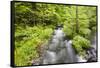 Stream Flowing Between Obersee And Konigssee. Berchtesgaden National Park. Upper Bavaria. Germany-Oscar Dominguez-Framed Stretched Canvas