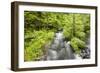 Stream Flowing Between Obersee And Konigssee. Berchtesgaden National Park. Upper Bavaria. Germany-Oscar Dominguez-Framed Photographic Print