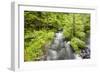 Stream Flowing Between Obersee And Konigssee. Berchtesgaden National Park. Upper Bavaria. Germany-Oscar Dominguez-Framed Photographic Print