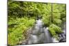 Stream Flowing Between Obersee And Konigssee. Berchtesgaden National Park. Upper Bavaria. Germany-Oscar Dominguez-Mounted Photographic Print