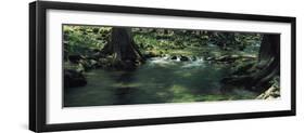 Stream flowing in a forest, Honey Creek, Texas, USA-null-Framed Photographic Print