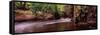 Stream Flowing in a Forest, Shell Creek, Florida, USA-null-Framed Stretched Canvas