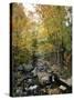Stream Flowing in a Forest, Vermont, USA-null-Stretched Canvas