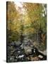 Stream Flowing in a Forest, Vermont, USA-null-Stretched Canvas