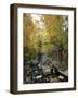 Stream Flowing in a Forest, Vermont, USA-null-Framed Photographic Print