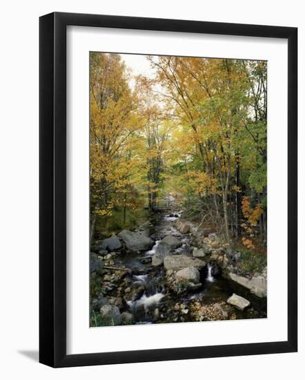 Stream Flowing in a Forest, Vermont, USA-null-Framed Photographic Print