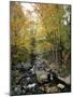 Stream Flowing in a Forest, Vermont, USA-null-Mounted Photographic Print