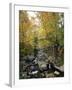 Stream Flowing in a Forest, Vermont, USA-null-Framed Photographic Print