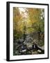 Stream Flowing in a Forest, Vermont, USA-null-Framed Photographic Print